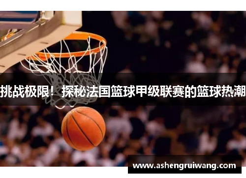 挑战极限!探秘法国篮球甲级联赛的篮球热潮
