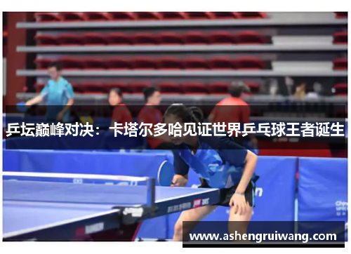 乒坛巅峰对决:卡塔尔多哈见证世界乒乓球王者诞生 乒坛巅峰对决:卡塔尔多哈见证世界乒乓球王者诞生